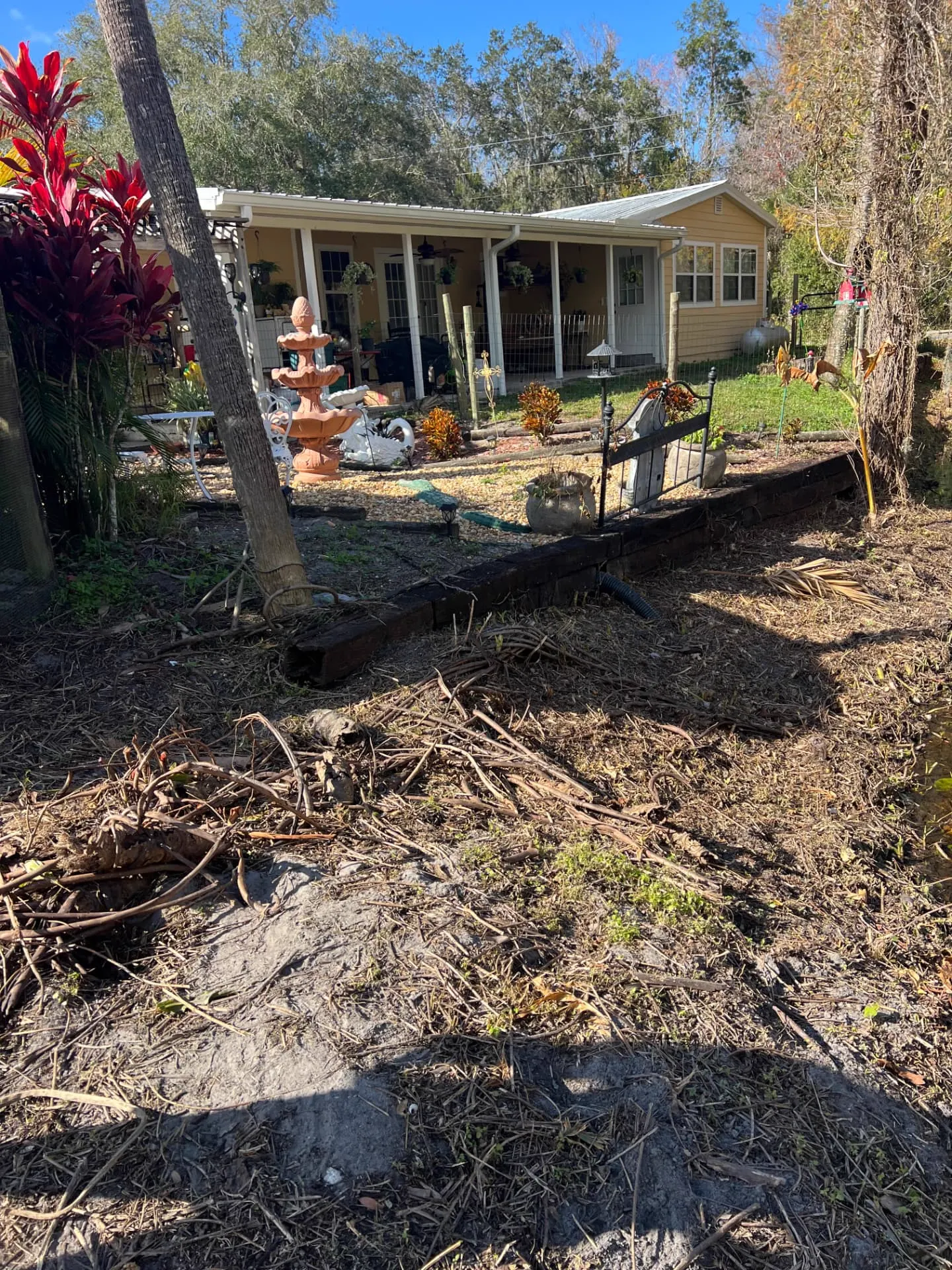 Backyard behind a yellow Florida home cleared of vines and brush back to bare ground with a drain line exposed at the low side