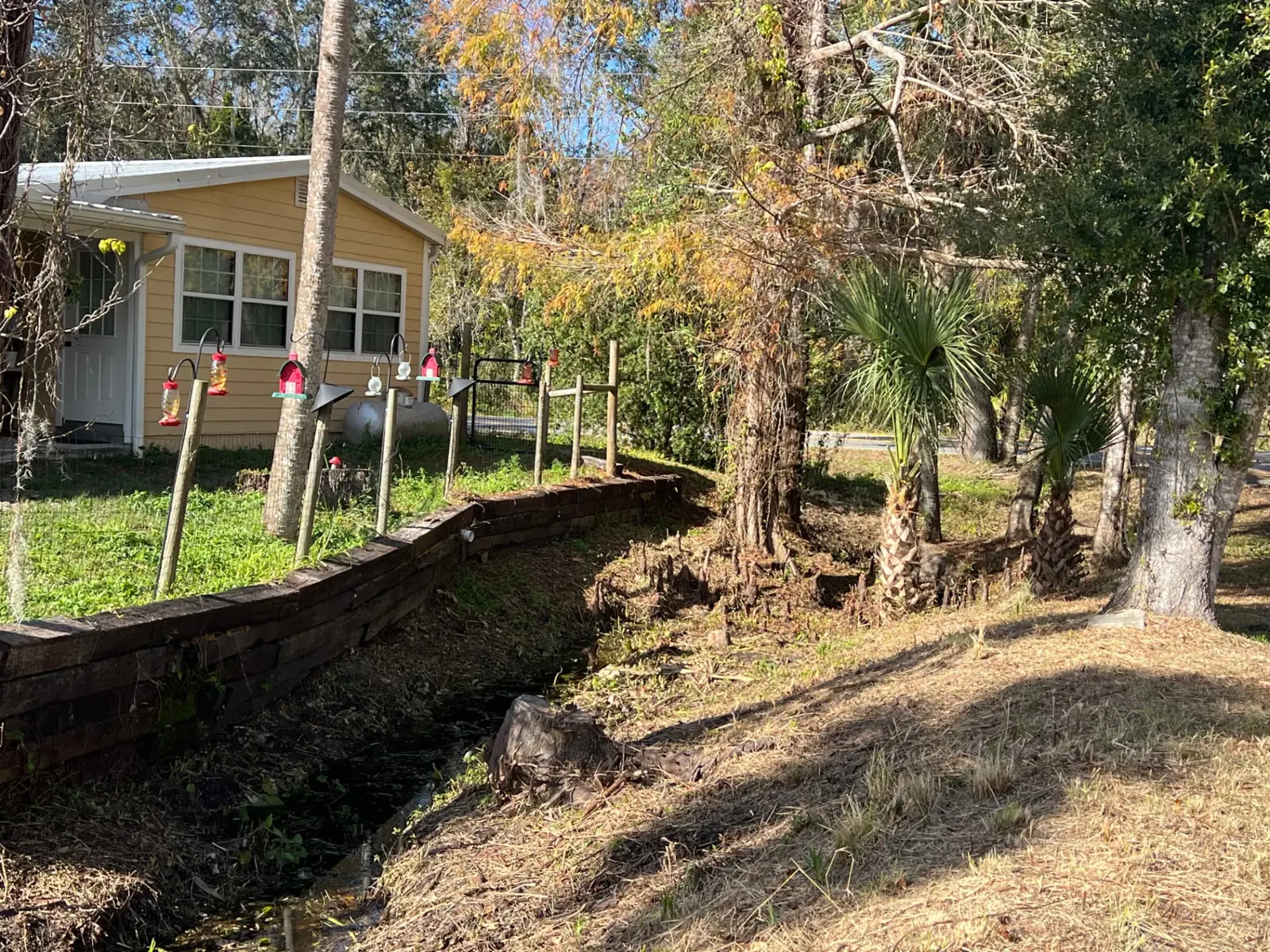Drainage swale carrying yard water along a timber retaining wall and away from a yellow Oviedo home after regrading