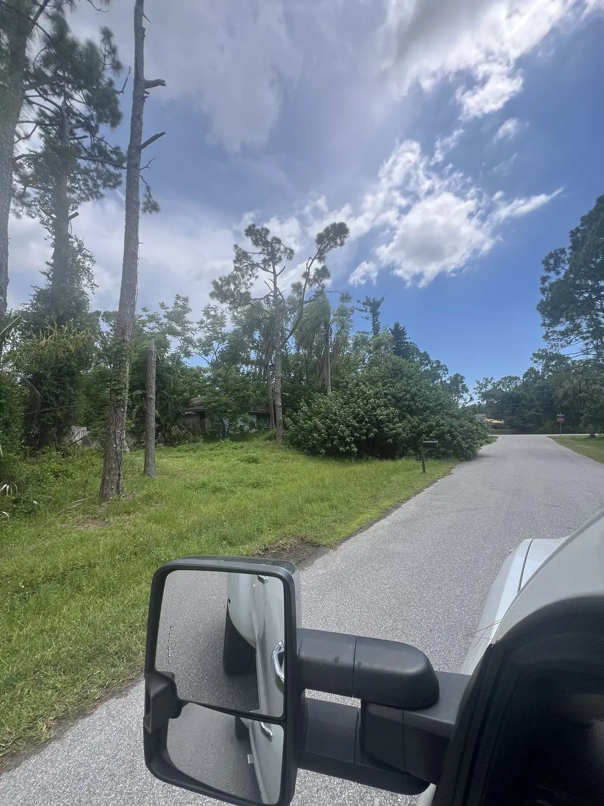 Overgrown roadside verge and dense shrub along a paved rural road before underbrush and vegetation clearing