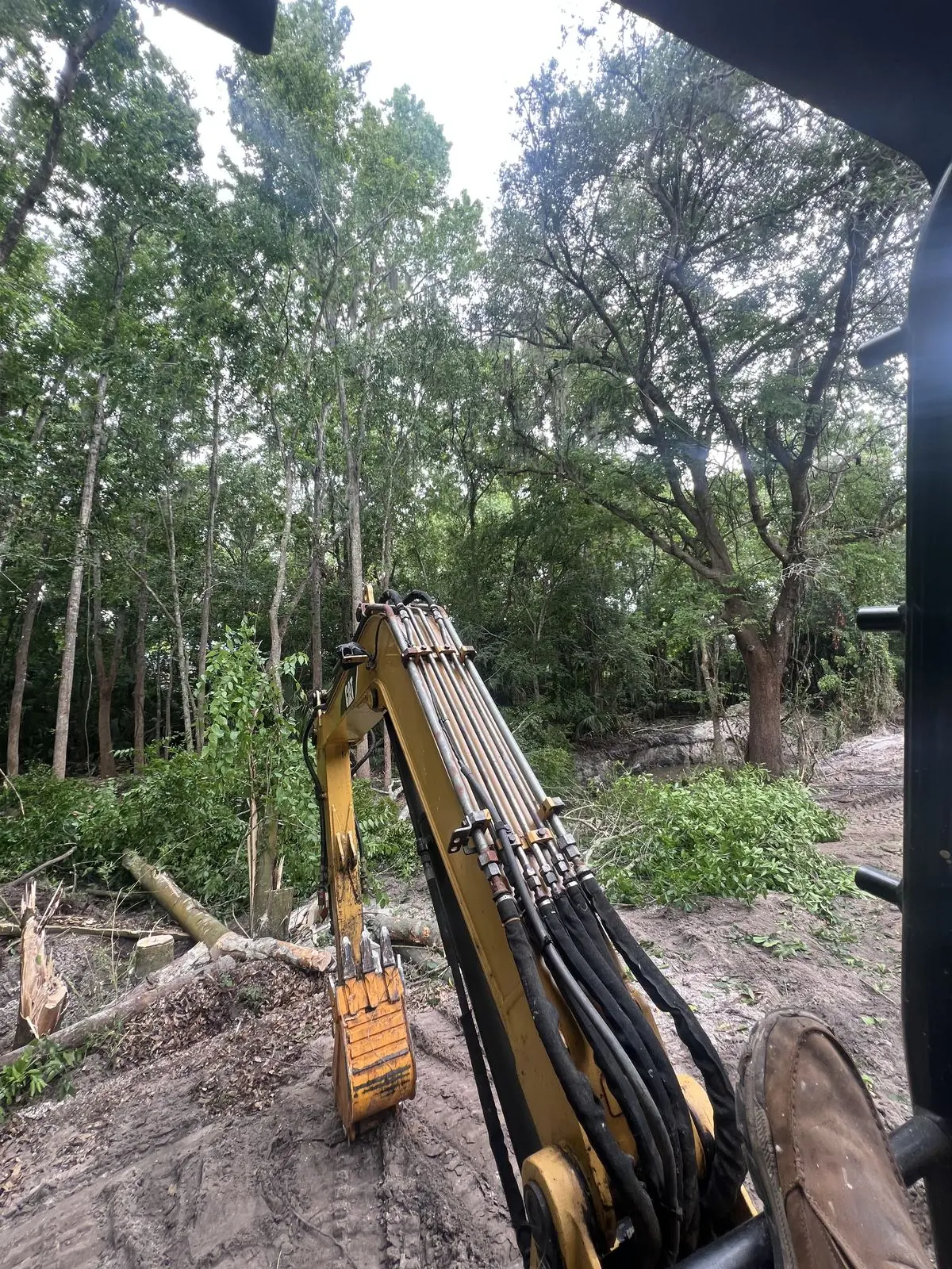 View from an excavator cab across bare cleared sand with felled trees and stripped trunks during land and lot clearing in Central Florida