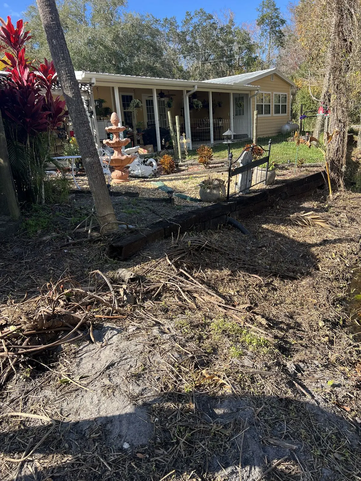 Cut palm fronds and woody debris spread across a stripped sandy yard during a property cleanup