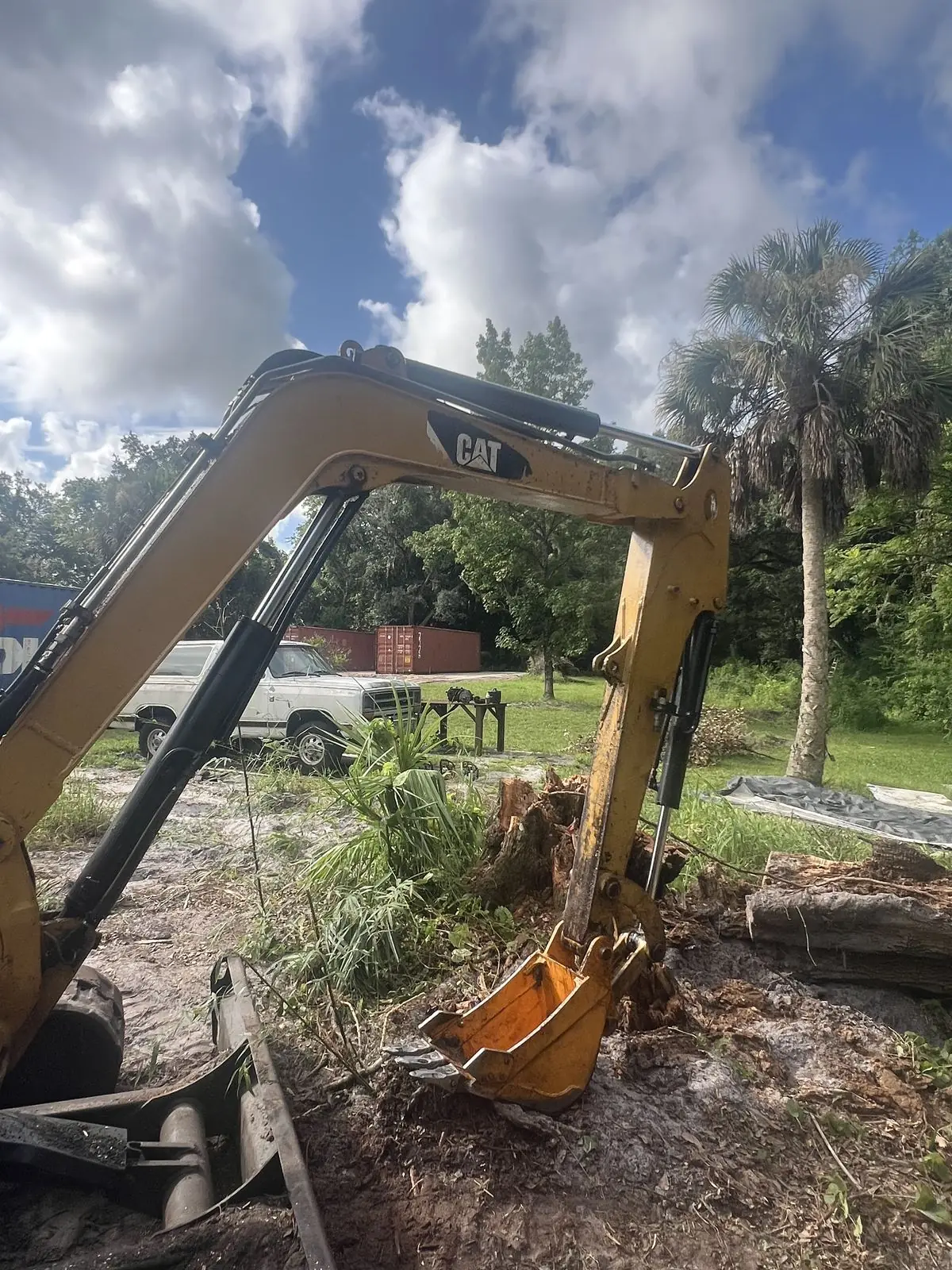 Excavator bucket poised over a freshly cut stump and exposed root mass on bare sand during site preparation